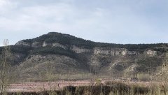 暖暖的春風(fēng)迎面吹，桃花朵朵開(kāi)